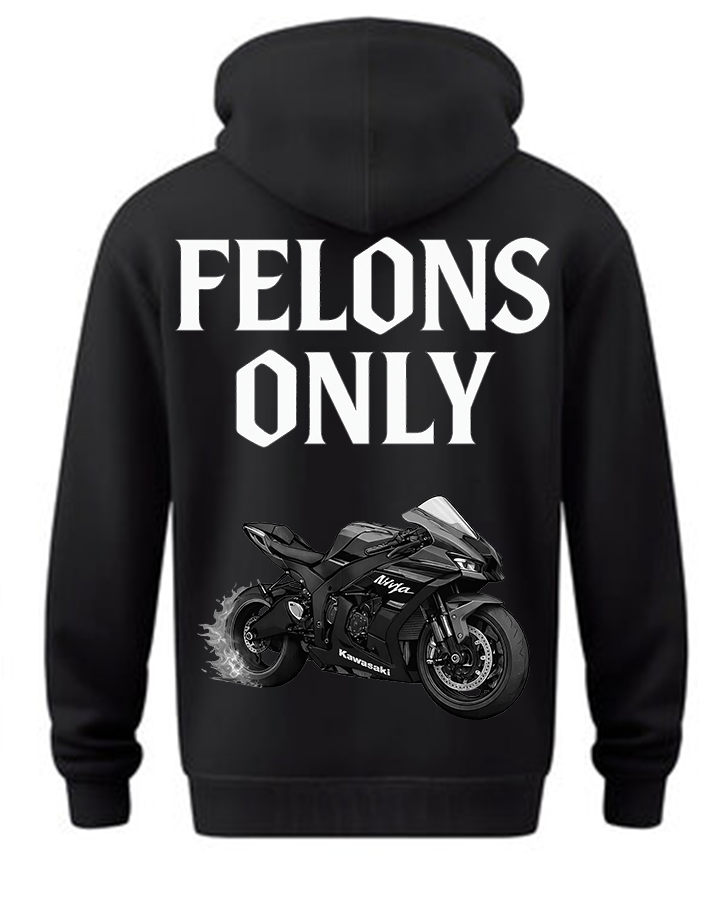 ZX-10R Dominance Hoodie