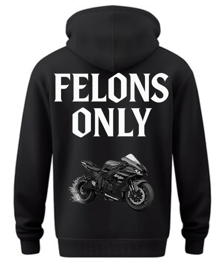 ZX-6R Hoodie